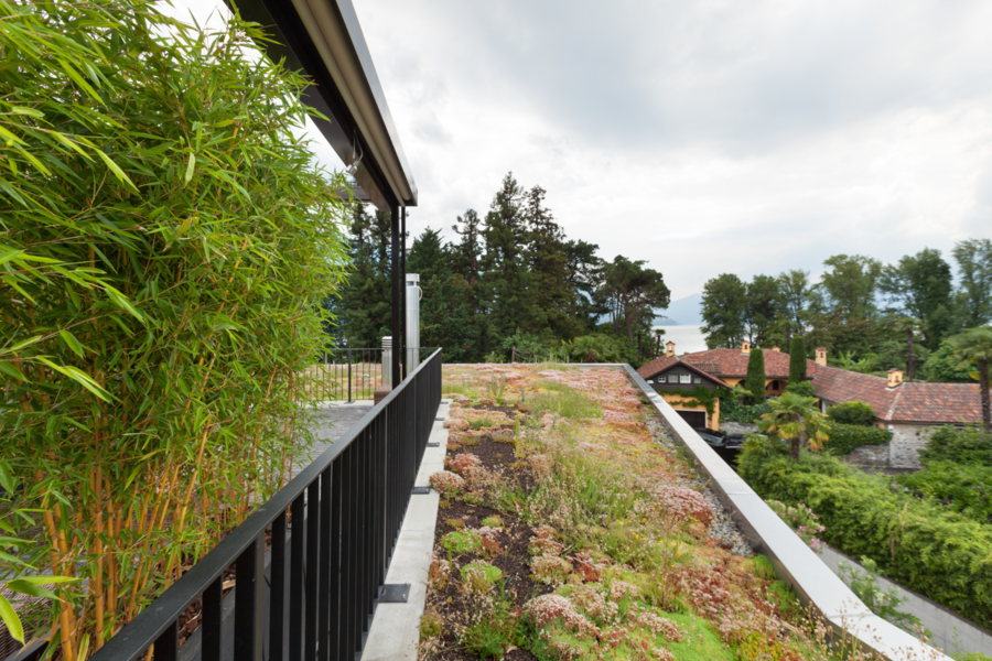 Dachterrasse mit angrenzendem begrünter Dachfläche.