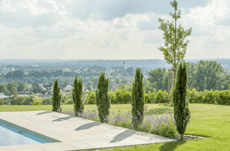 Gartenbau Schmid zeigt einen Garten mit sehr gepflegtem Rasen, Pool, verschiedenen Bäumen und Sträuchern.