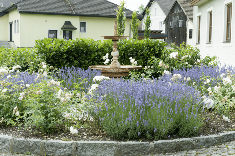 Gartenbau Schmid zeigt ein Blumenbeet aus Pflastersteinen mit weißen Blumen und Lavendel bepflanzt, Brunnen.