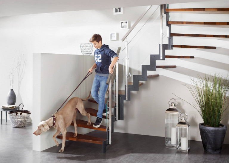 Treppenmeister zeigt gedrehte Holztreppe mit dunklen Trittflächen, Handlauf und Geländer aus kantigen Metallstäben und Glasplatten an einer weißen Wand.