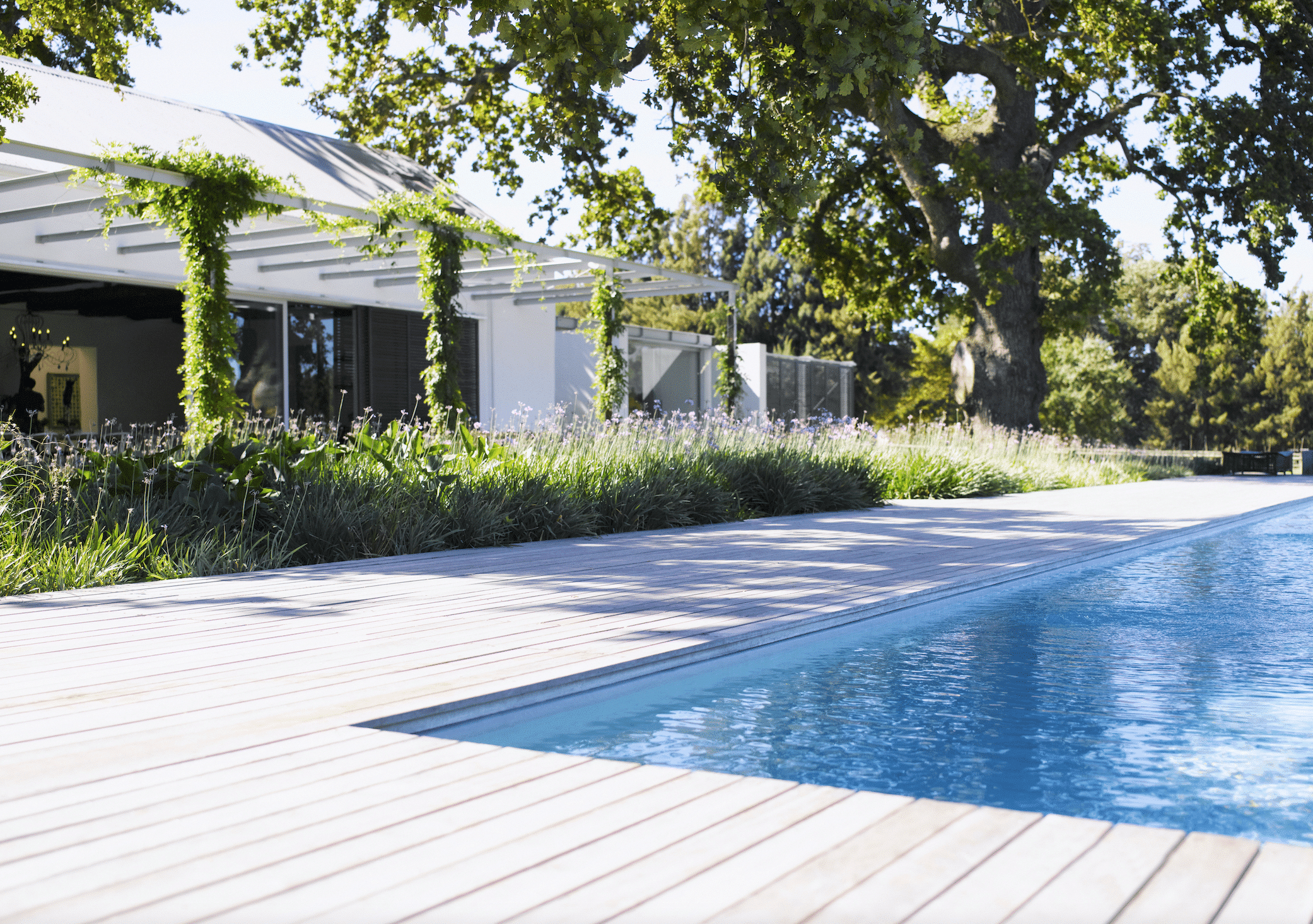 Moderner Bungalow mit Pflanzenranken und großem, eckigem Pool mit hellen Terrassendielen aus Holz.