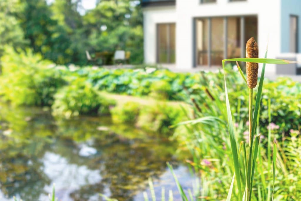 Einfamilienhaus mit biologischer Kleinkläranlage.